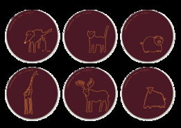 Atipus平面設計與軟件開發的跨界融合