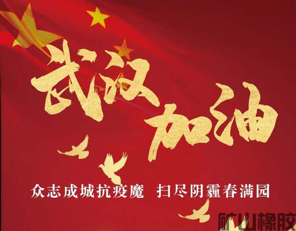 齊心協力，共抗疫情——遠程指導安裝橡膠襯板(圖1)